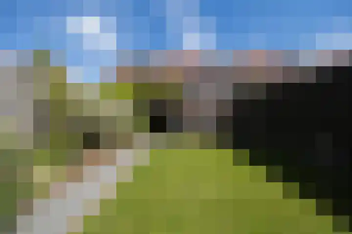 Boerhaavelaan 81 Utrecht thumbnail 29