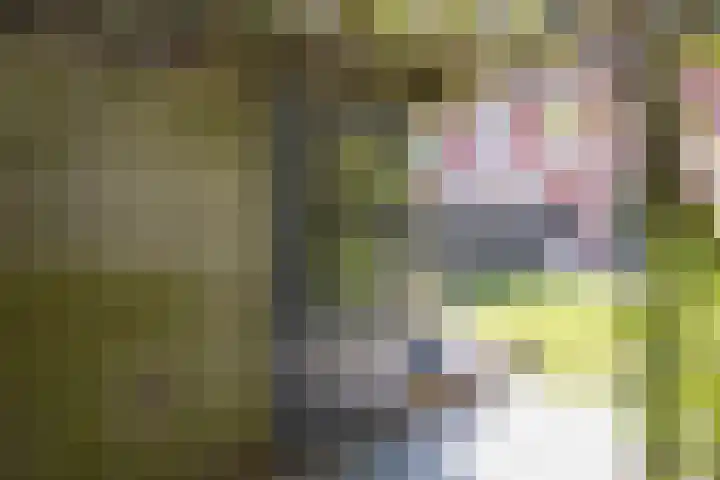 Boerhaavelaan 81 Utrecht thumbnail 34