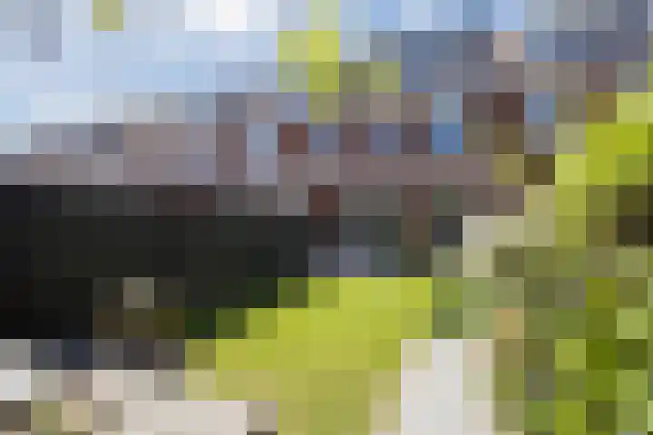 Boerhaavelaan 81 Utrecht thumbnail 35