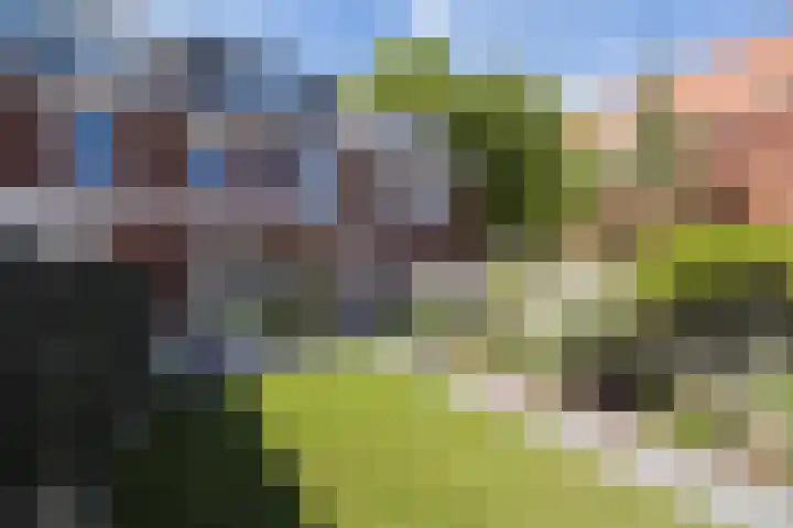 Boerhaavelaan 81 Utrecht thumbnail 37
