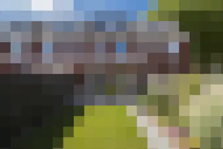 Boerhaavelaan 81 Utrecht thumbnail 38