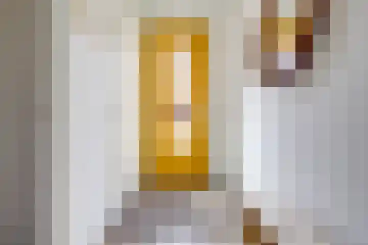 Boerhaavelaan 81 Utrecht thumbnail 40