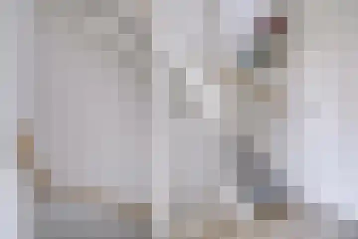 Boerhaavelaan 81 Utrecht thumbnail 42