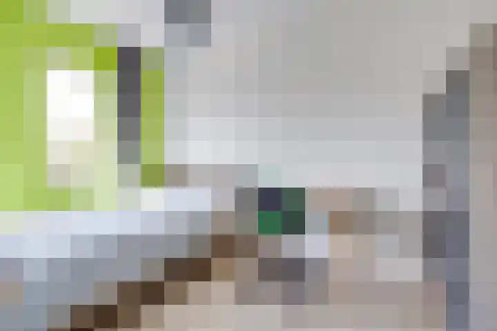 Boerhaavelaan 81 Utrecht thumbnail 46