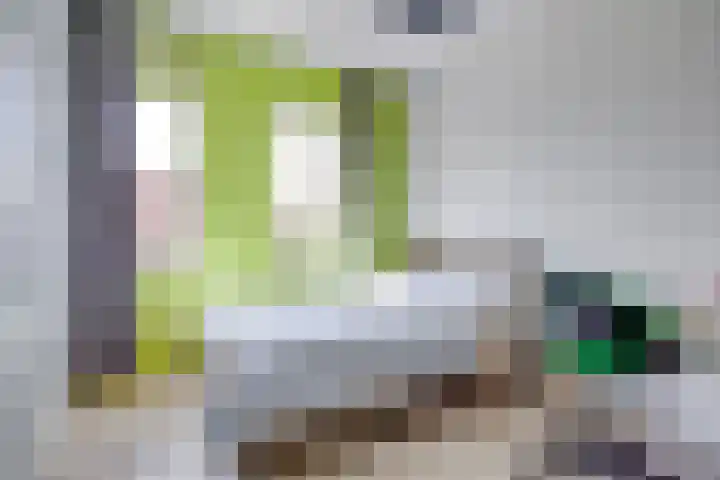 Boerhaavelaan 81 Utrecht thumbnail 47