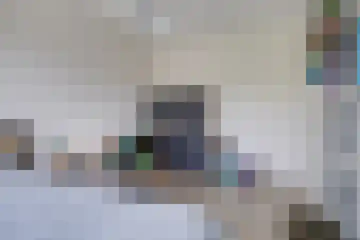 Boerhaavelaan 81 Utrecht thumbnail 48