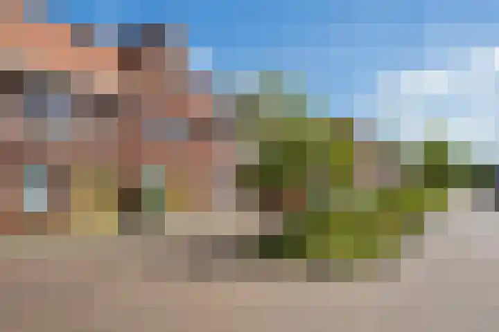 Boerhaavelaan 81 Utrecht thumbnail 5
