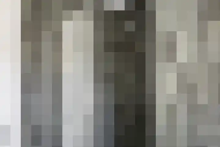 Boerhaavelaan 81 Utrecht thumbnail 56