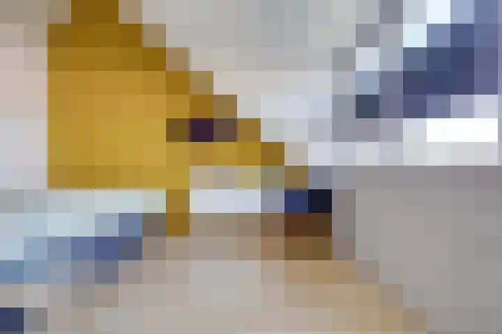 Boerhaavelaan 81 Utrecht thumbnail 58
