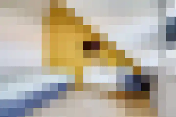 Boerhaavelaan 81 Utrecht thumbnail 59