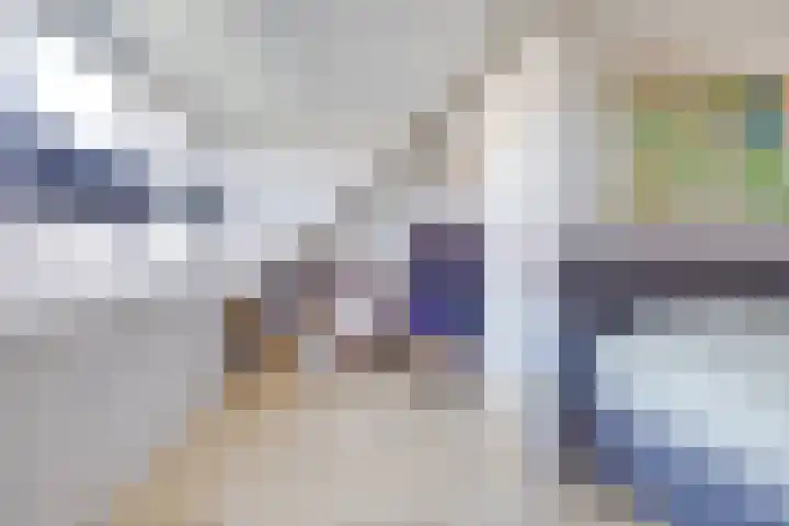 Boerhaavelaan 81 Utrecht thumbnail 61