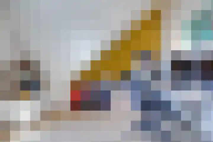 Boerhaavelaan 81 Utrecht thumbnail 63