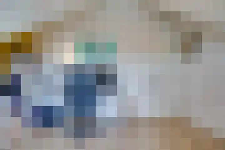 Boerhaavelaan 81 Utrecht thumbnail 64