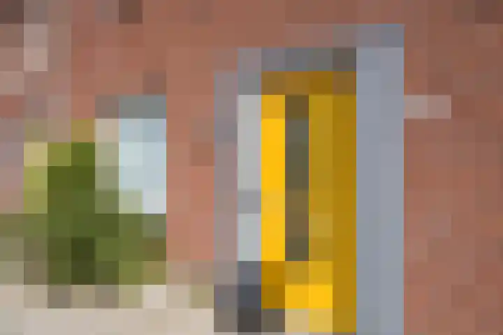 Boerhaavelaan 81 Utrecht thumbnail 65