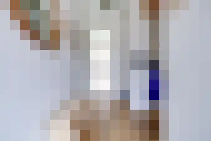 Boerhaavelaan 81 Utrecht thumbnail 7