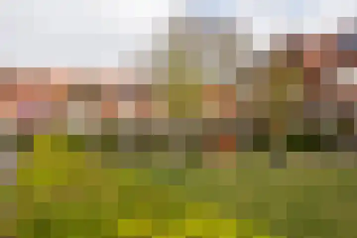 Boerhaavelaan 81 Utrecht thumbnail 71