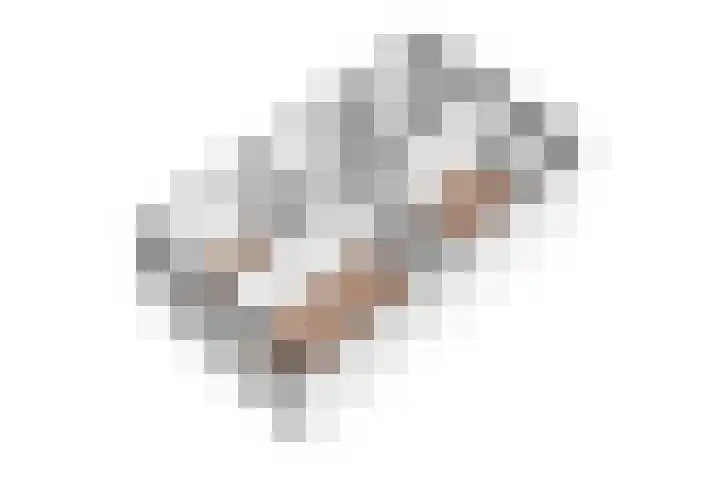 Boerhaavelaan 81 Utrecht thumbnail 83