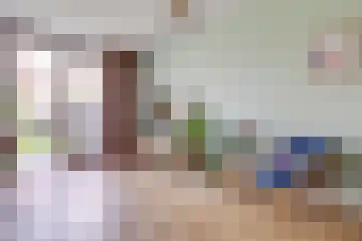 Boerhaavelaan 81 Utrecht thumbnail 9