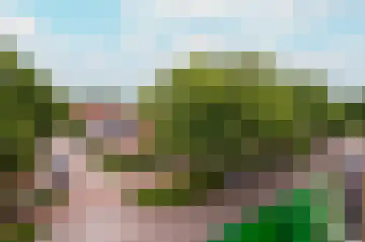 Boerhaavelaan 82 Harderwijk thumbnail 22