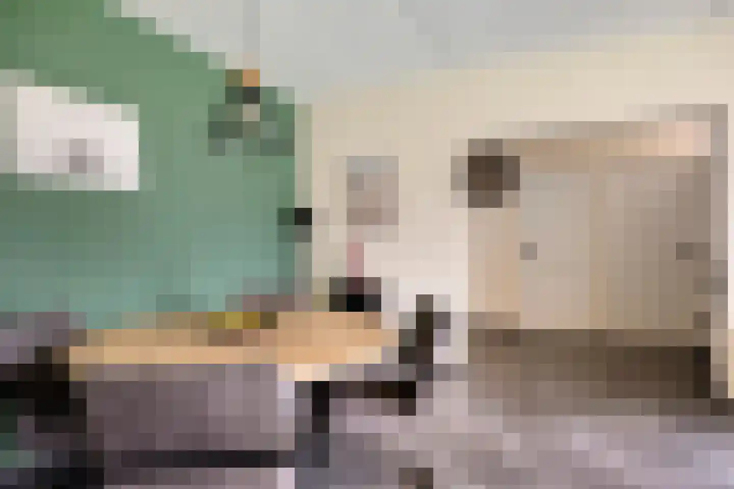 Boerhaavelaan 87 Oosterhout thumbnail 16