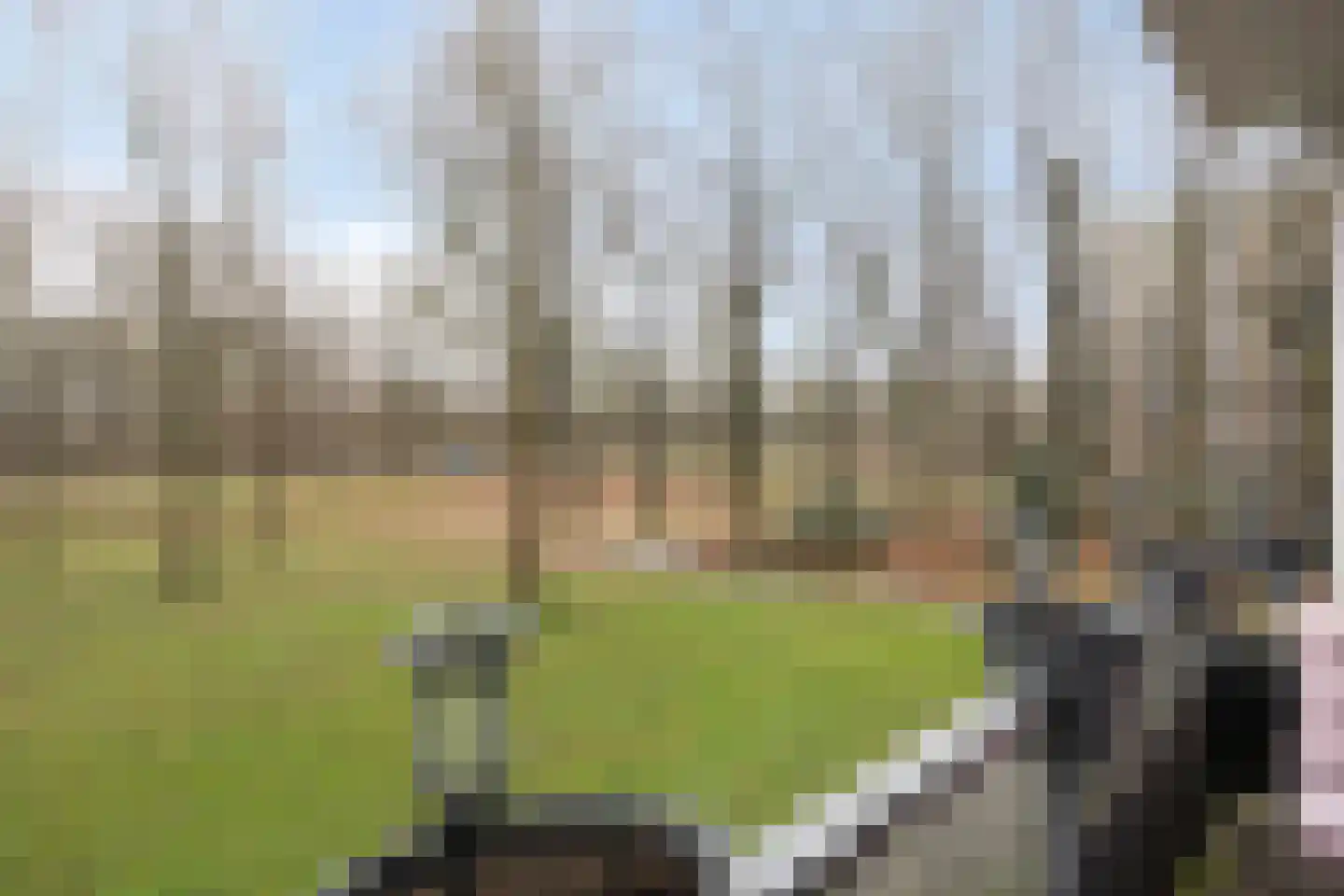 Boerhaavelaan 87 Oosterhout thumbnail 22