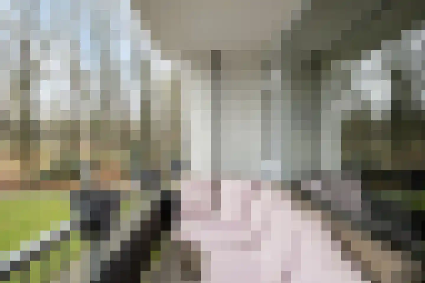Boerhaavelaan 87 Oosterhout thumbnail 4