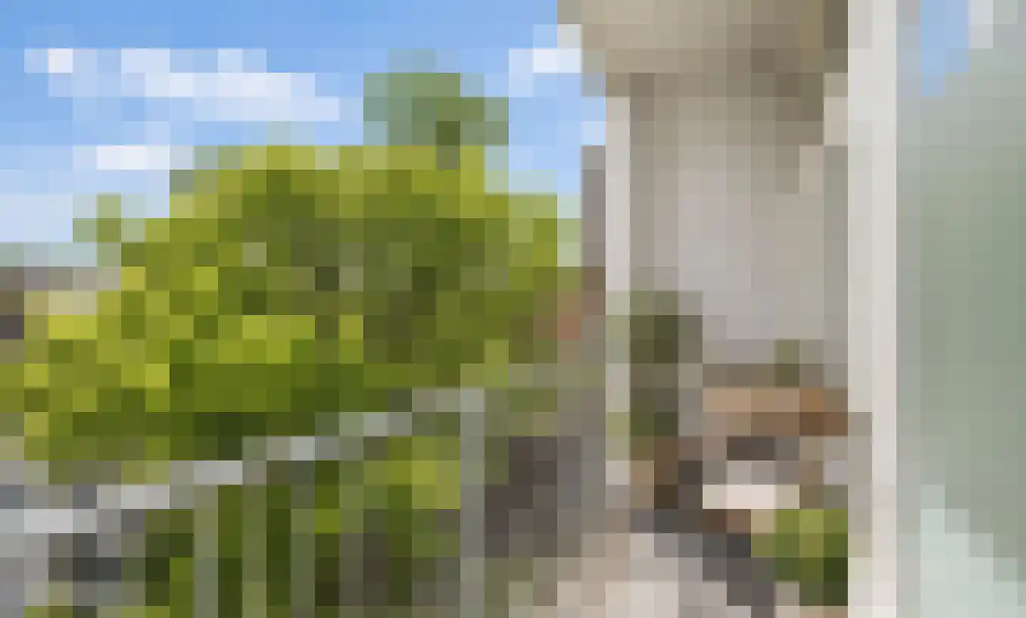 Boerhaavelaan 9 A Schiedam thumbnail 19