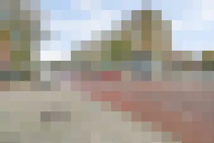Boerhaavelaan 9 B Schiedam thumbnail 28