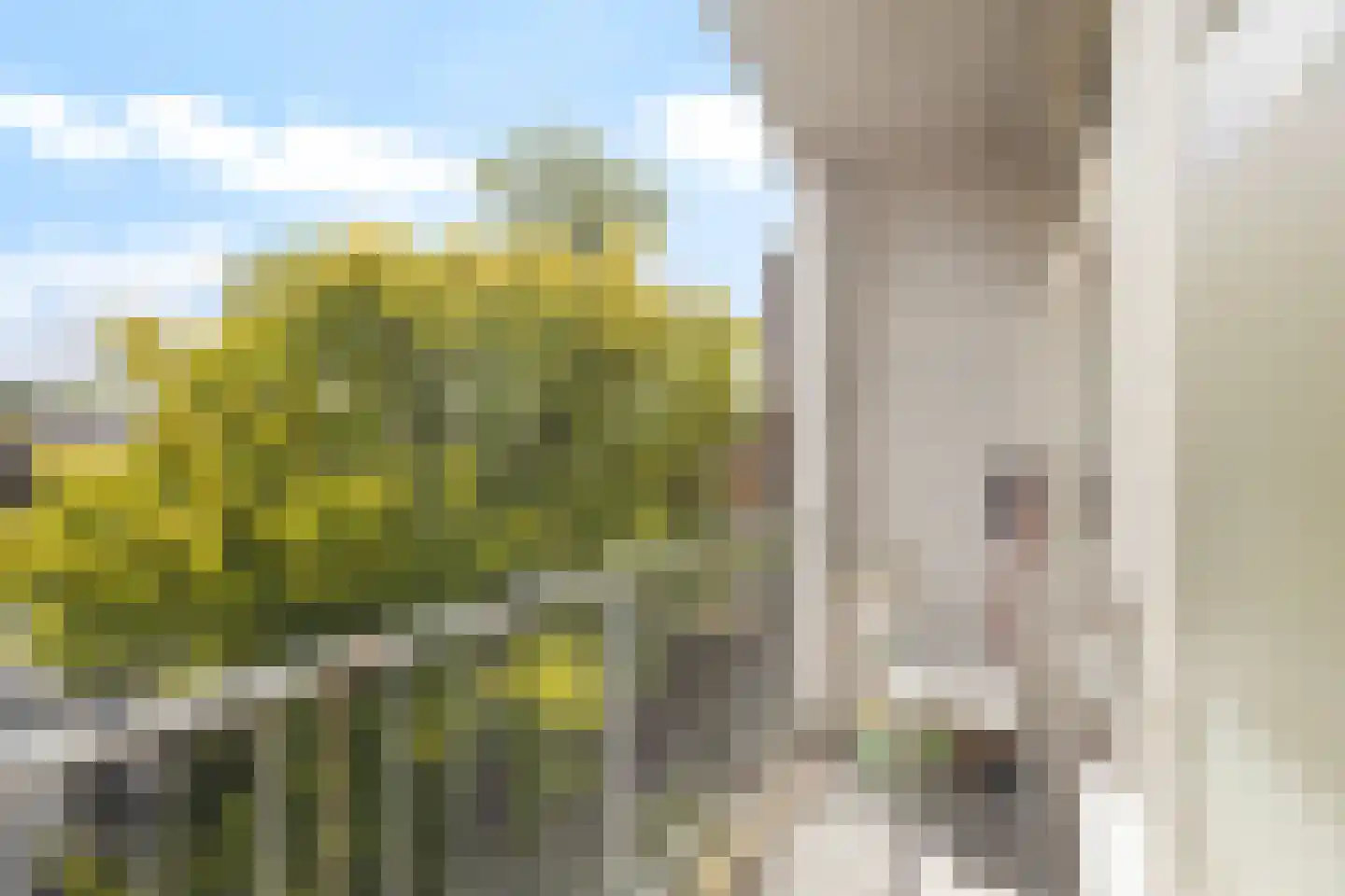 Boerhaavelaan 9 C Schiedam thumbnail 16