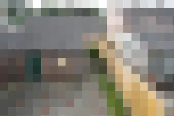Boerhaavelaan 9 Eerbeek thumbnail 14