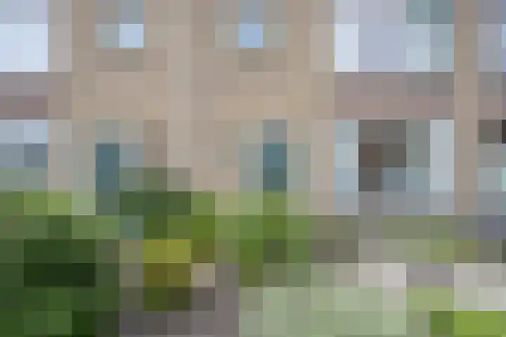 Boerhaavelaan 9 Eerbeek thumbnail 16