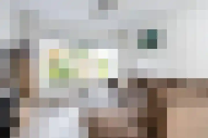 Boerhaavelaan 91 Eerbeek thumbnail 11