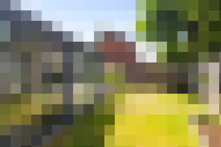 Boerhaavelaan 91 Eerbeek thumbnail 21
