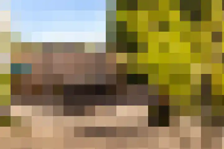 Boerhaavelaan 91 Eerbeek thumbnail 30