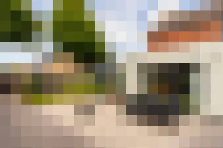 Boerhaavelaan 91 Eerbeek thumbnail 31