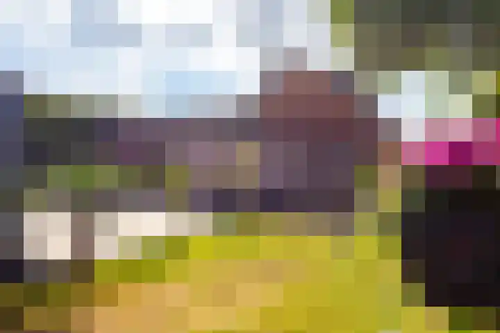 Boerhaavelaan 91 Eerbeek thumbnail 32