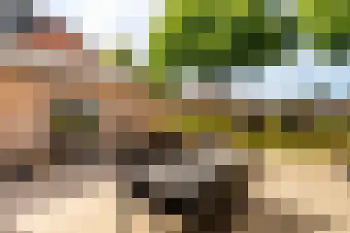 Boerhaavelaan 91 Eerbeek thumbnail 33