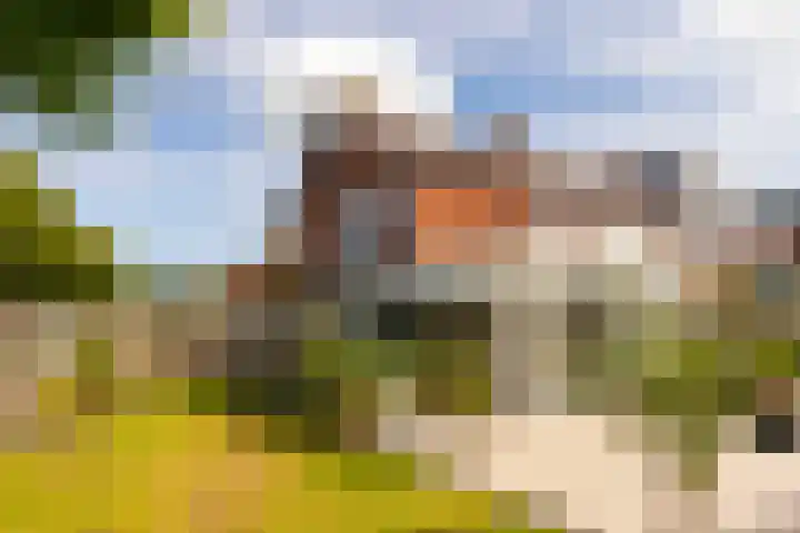 Boerhaavelaan 91 Eerbeek thumbnail 4