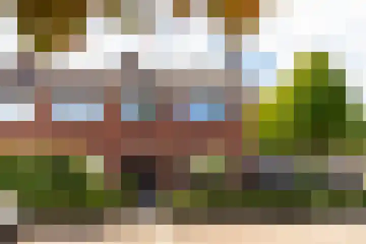 Boerhaavelaan 91 Eerbeek thumbnail 41