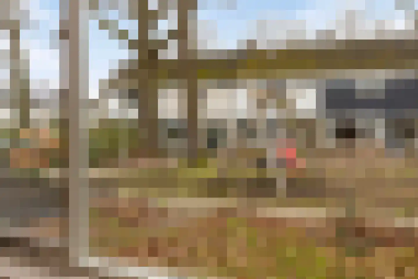 Boerhaavelaan 92 Doetinchem thumbnail 10