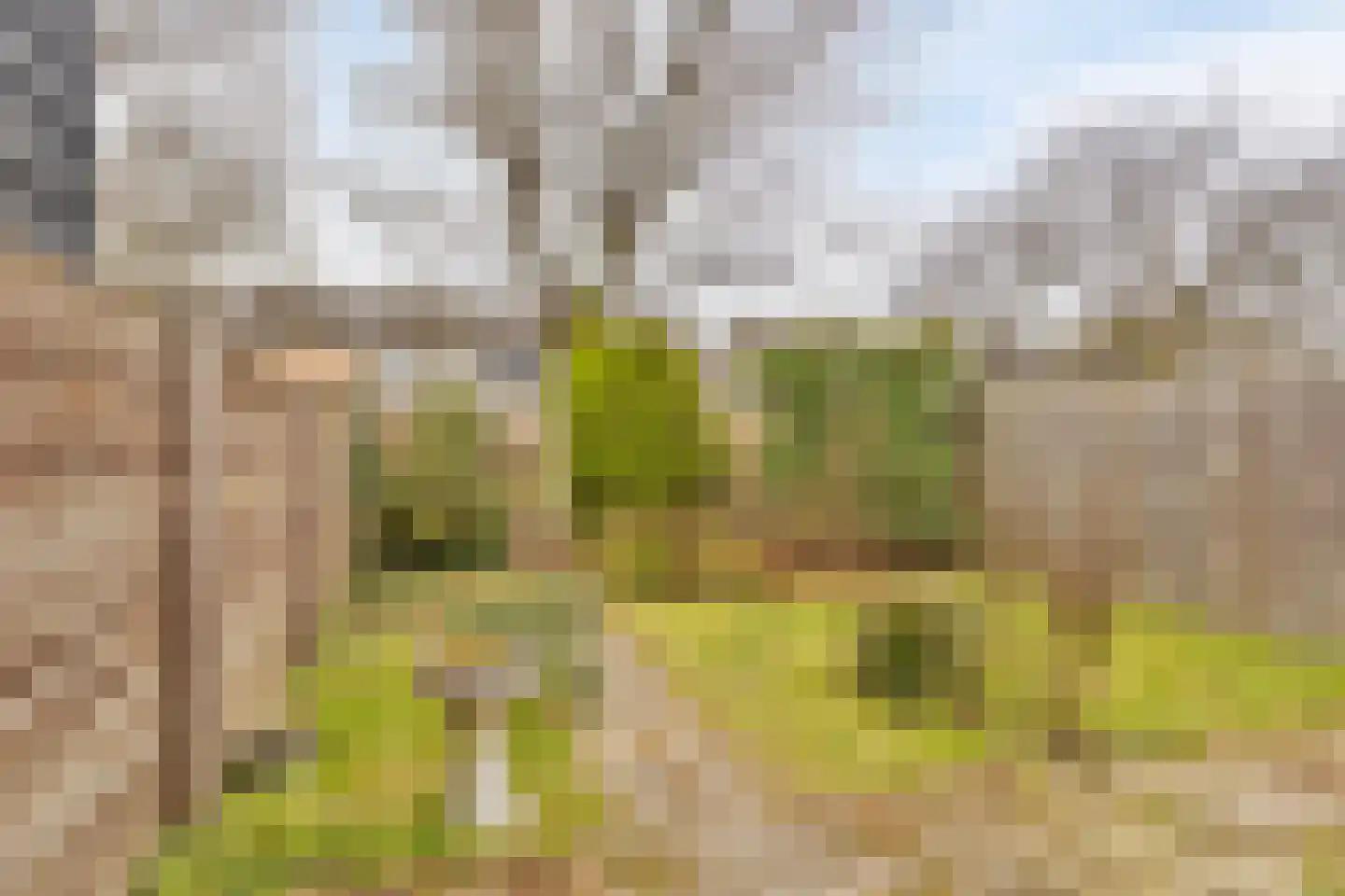 Boerhaavelaan 92 Doetinchem thumbnail 33