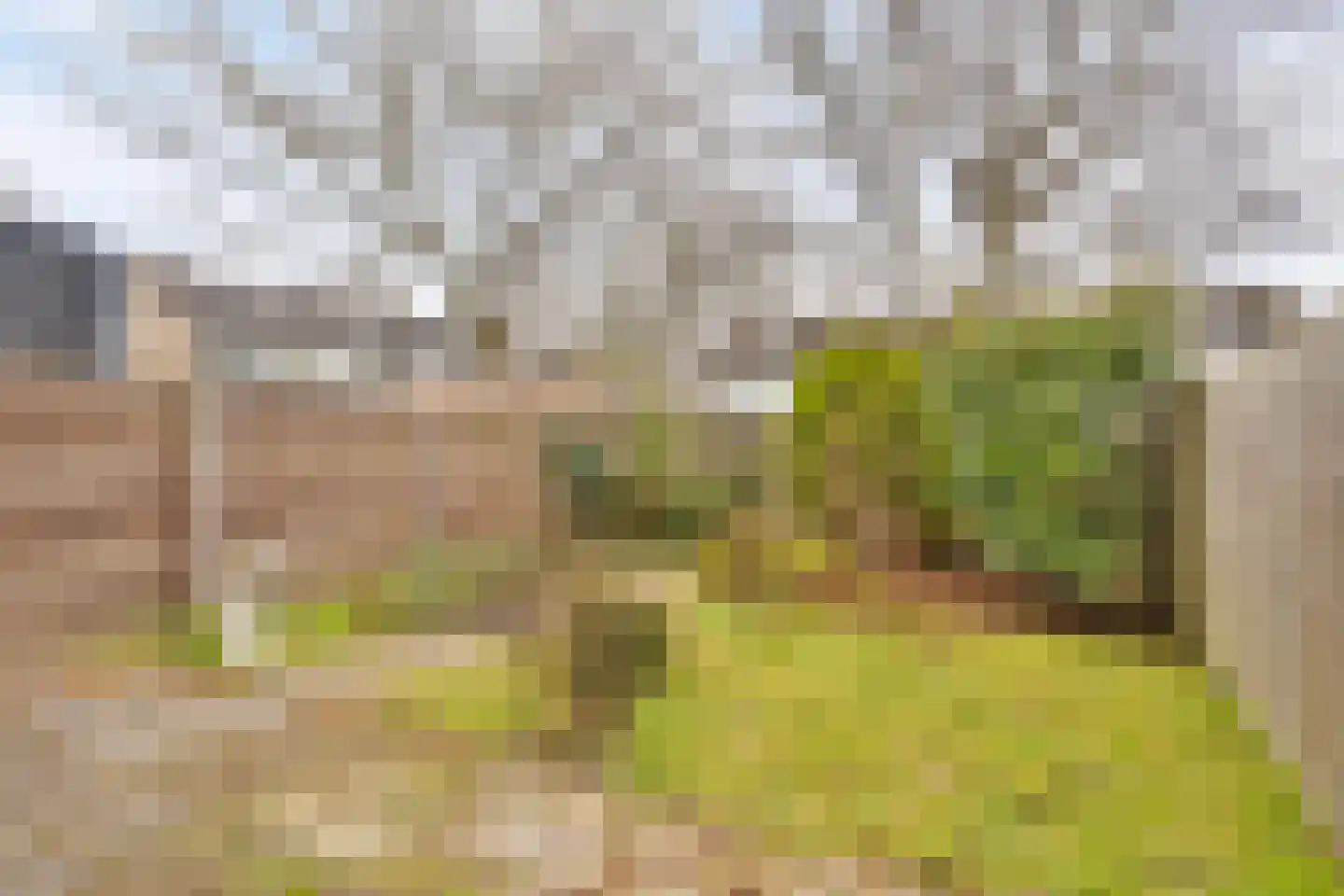 Boerhaavelaan 92 Doetinchem thumbnail 34