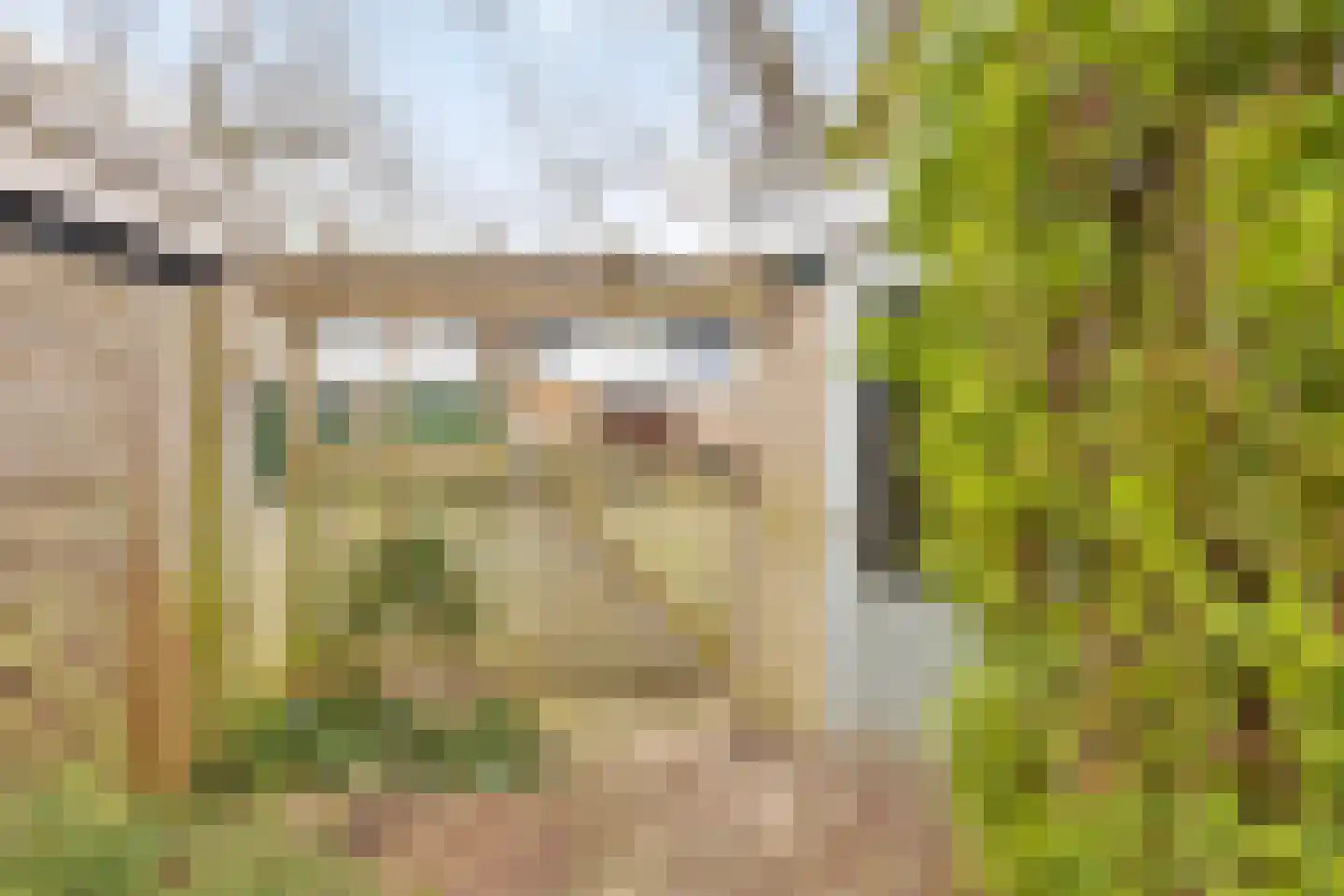 Boerhaavelaan 92 Doetinchem thumbnail 35