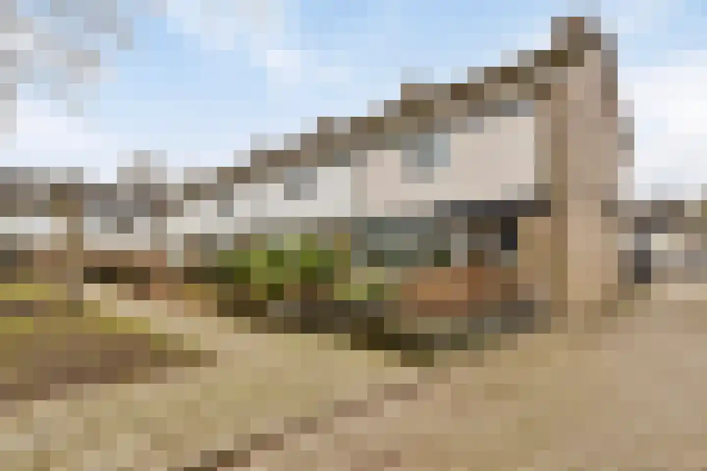 Boerhaavelaan 92 Doetinchem thumbnail 43