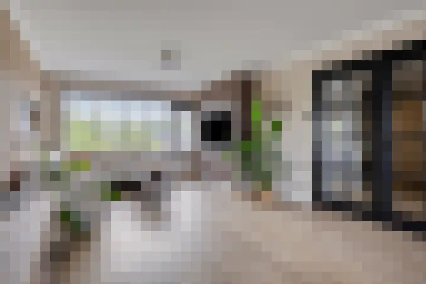 Boerhaavelaan 93 Helmond thumbnail 14
