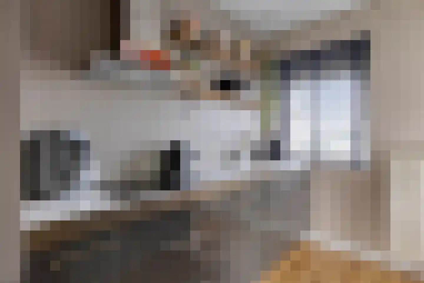 Boerhaavelaan 93 Helmond thumbnail 4