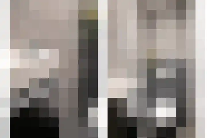 Boerhaavelaan 97 Helmond thumbnail 17