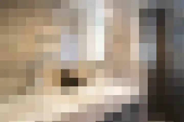 Boerhaavelaan 97 Helmond thumbnail 23