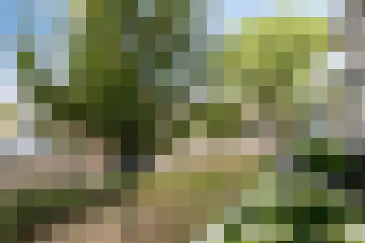 Boerhaavelaan 97 Helmond thumbnail 27