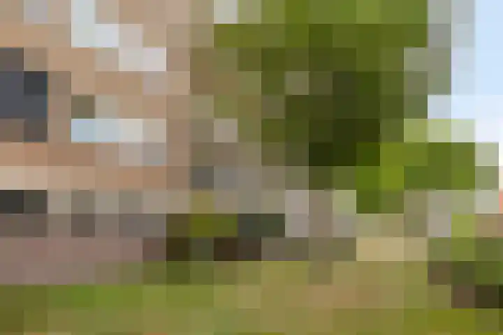 Boerhaavelaan 97 Helmond thumbnail 31